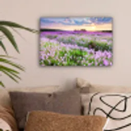 Bloemen - Lavendel - Paars - Lucht - Zonsondergang - Weide - Natuur canvas 2cm klein -sfeer1