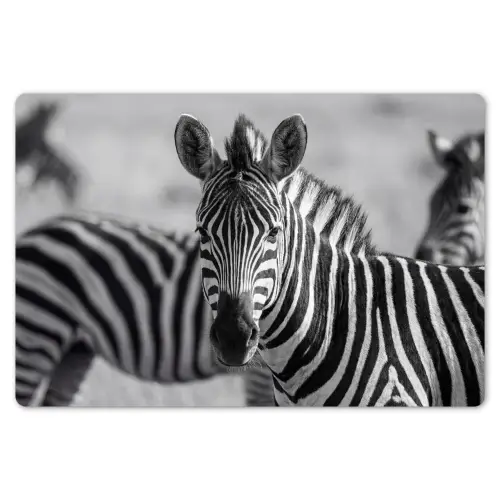 Zebra's - Zwart - Wit Placemat vinyl groot -zzsfeer1_Kitchenyeah-website