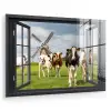 Doorkijk - Koe - Molen - Koeien - Weiland - Gras - Groen plexiglas 5mm klein -zzzproduct_nieuw