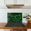 Natuur - Bos - Groen - Monstera keuken achterwand spatscherm klein -sfeer2
