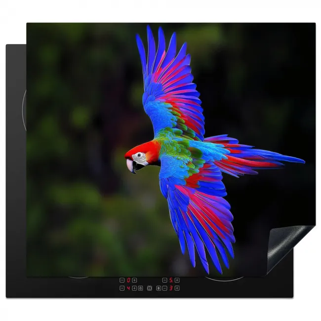 Felgekleurd - Papegaai - Bos - Vleugels Inductie beschermer vinyl 3mm middel -3d