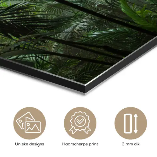 Regenwoud - Tropisch - Jungle - Bomen - Planten aluminium wit klein -closeup_NL