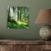 Natuur - Bomen - Bos - Groen - Zon - Gras - Planten plexiglas 5mm klein -sfeer3