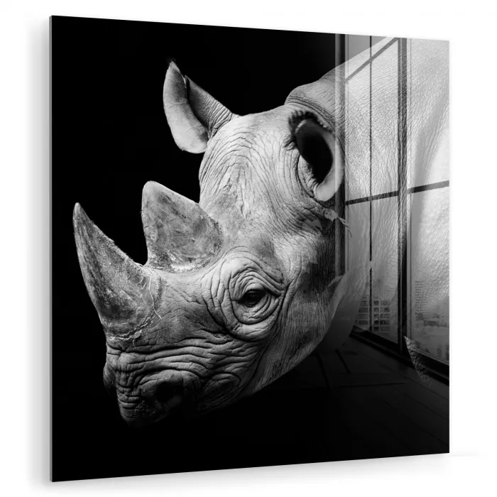 Dieren - Neushoorn - Zwart - Wit - Portret plexiglas 5mm klein -zzzproduct_nieuw