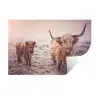 Schotse hooglanders - Licht - Lucht - Natuur Muursticker klein -3d