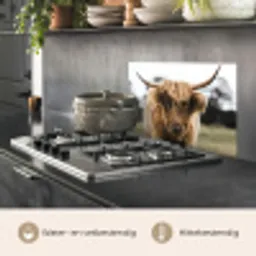 Schotse Hooglander -  Koe - Gras - Dieren - Natuur keuken achterwand spatscherm klein -usp_NL