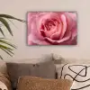 Roze - Roos - Romantisch canvas 2cm klein -sfeer1