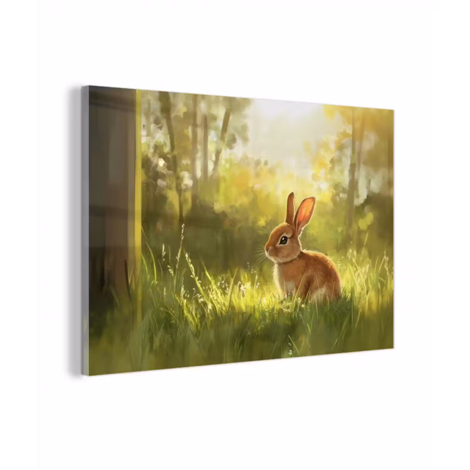 Glasbild - Kaninchen - Sonnenlicht - Wald