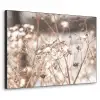 Droogbloemen - Wit - Planten Textielframe zwart klein -3d