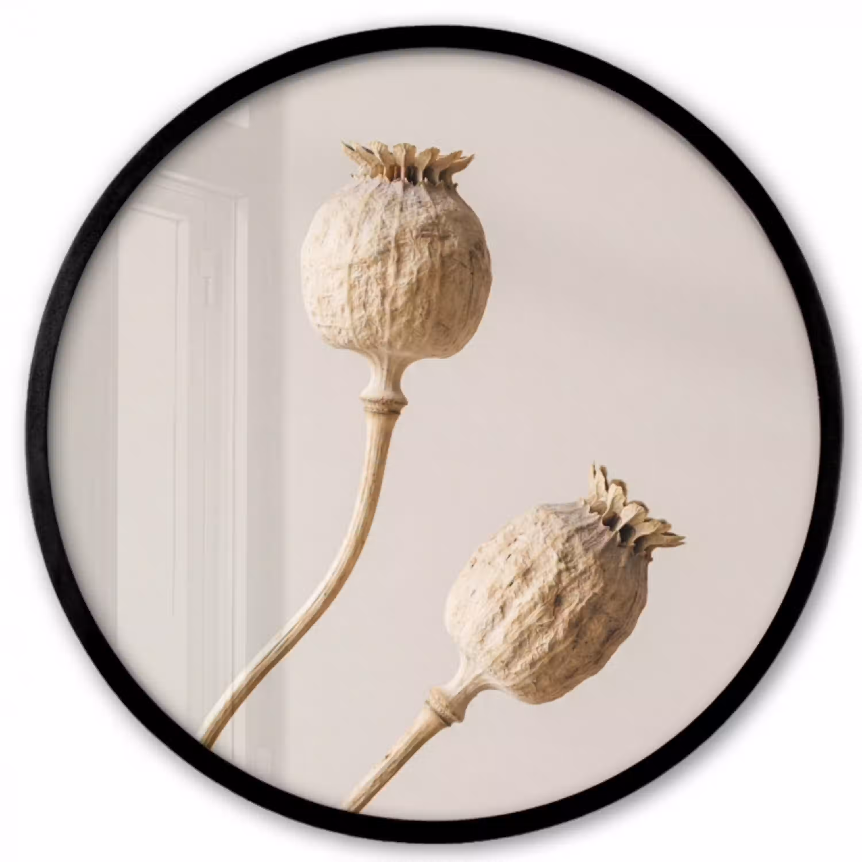 Papaverbollen - Droogbloemen - Minimalistisch - Beige - Rustig Fotolijst rond zonder passe partout klein -3d