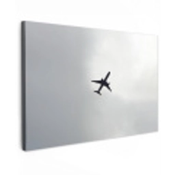 Minimalistisch - Silhouet - Zwart - Vliegtuig Tuinposter op houten frame 2 cm dik klein -3d