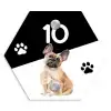 Zwart wit - Huisdier - Franse bulldog Naambord Hexagon klein -3d
