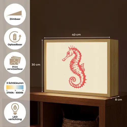 Zeepaardje - Rood - Fijne details Light Box met batterij (Wandlamp) middel -USP_websiteoverzichtNL