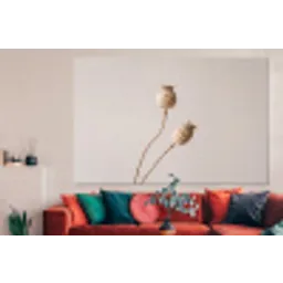 Papaverbollen - Droogbloemen - Minimalistisch - Beige - Rustig forex 5mm xxl -woonkamer