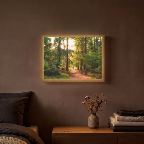 Bos - Pad - Bomen - Groen - Zon - Natuur Light Box met batterij (Wandlamp) middel -sfeer4