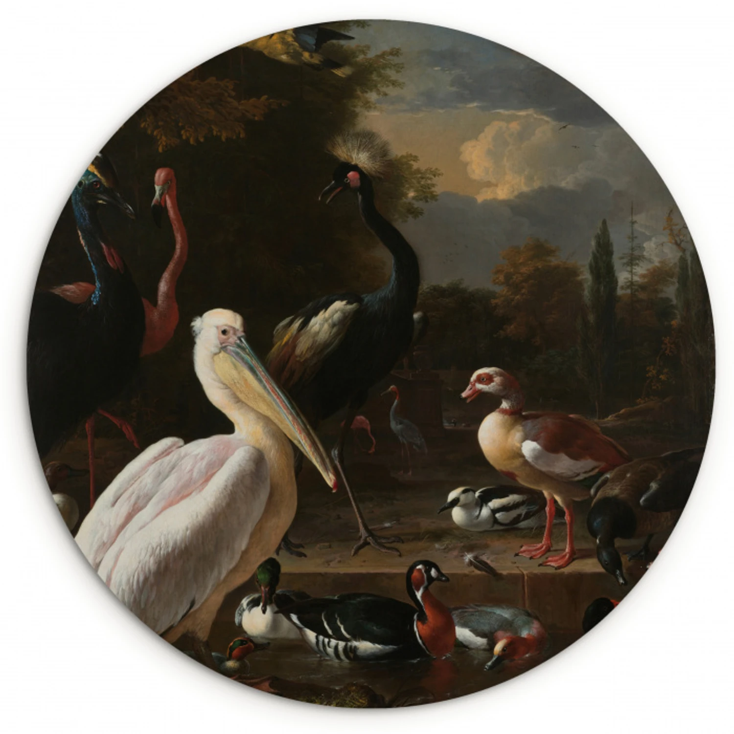 Een pelikaan en ander gevogelte bij een waterbassin - Schilderij van Melchior d'Hondecoeter Wandcirkel kunststof plaat 5mm dik klein -3d