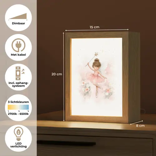 Ballerina - Fee - Bloemen - Roze Light Box met kabel klein -USP_NL