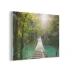 Jungle - Water - Brug - Natuur - Planten PET vilt klein -3d