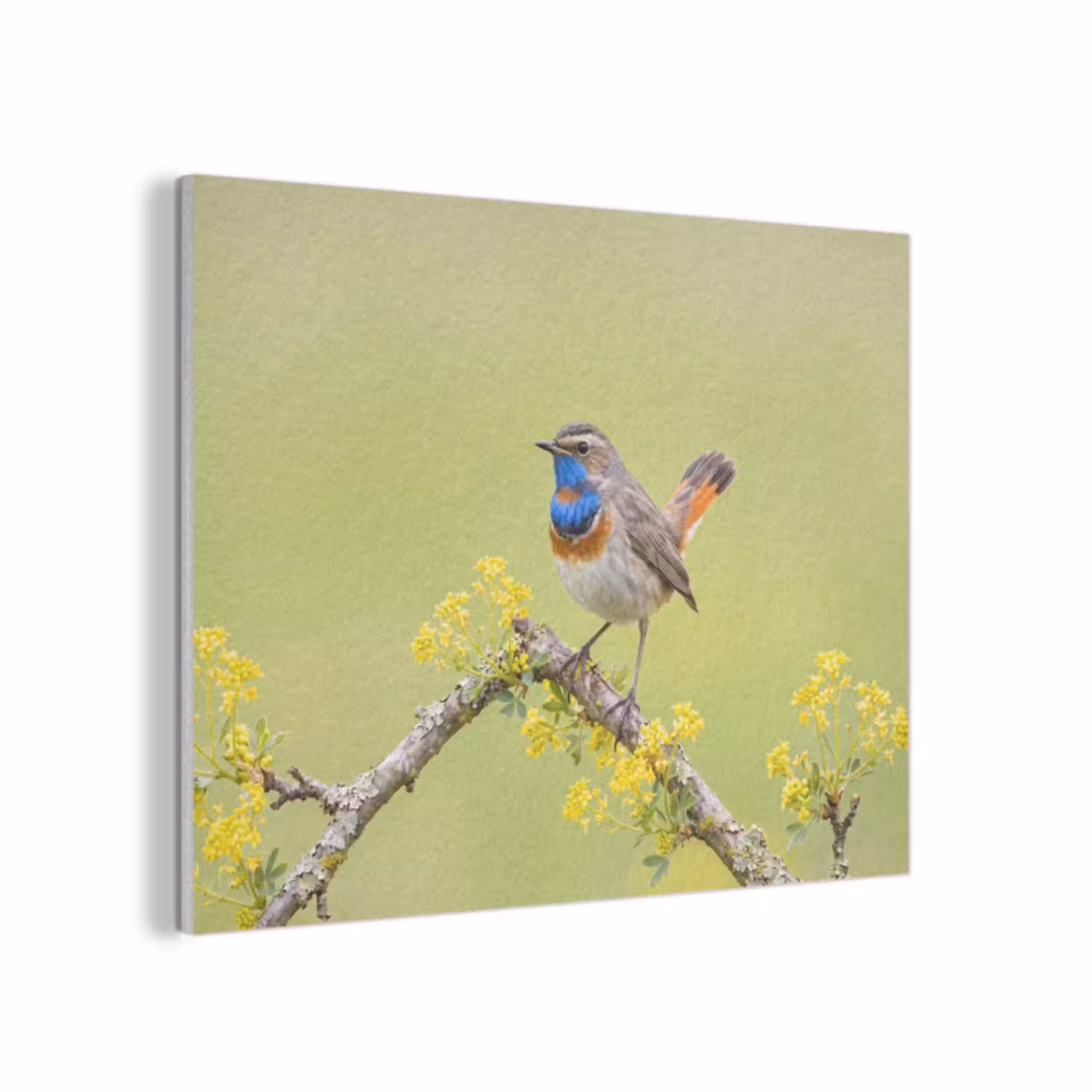 Vogel - Tak - Natuur - Kleurrijk PET vilt klein -3d