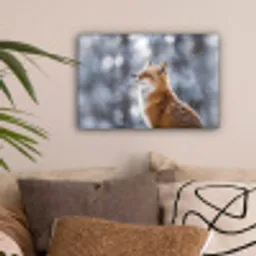 Vos - Sneeuwval - Portret - Winter - Sfeervol canvas 2cm klein -sfeer1