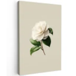 Cameliabloem - Wit - Groen Tuinposter op houten frame 2 cm dik klein -3d