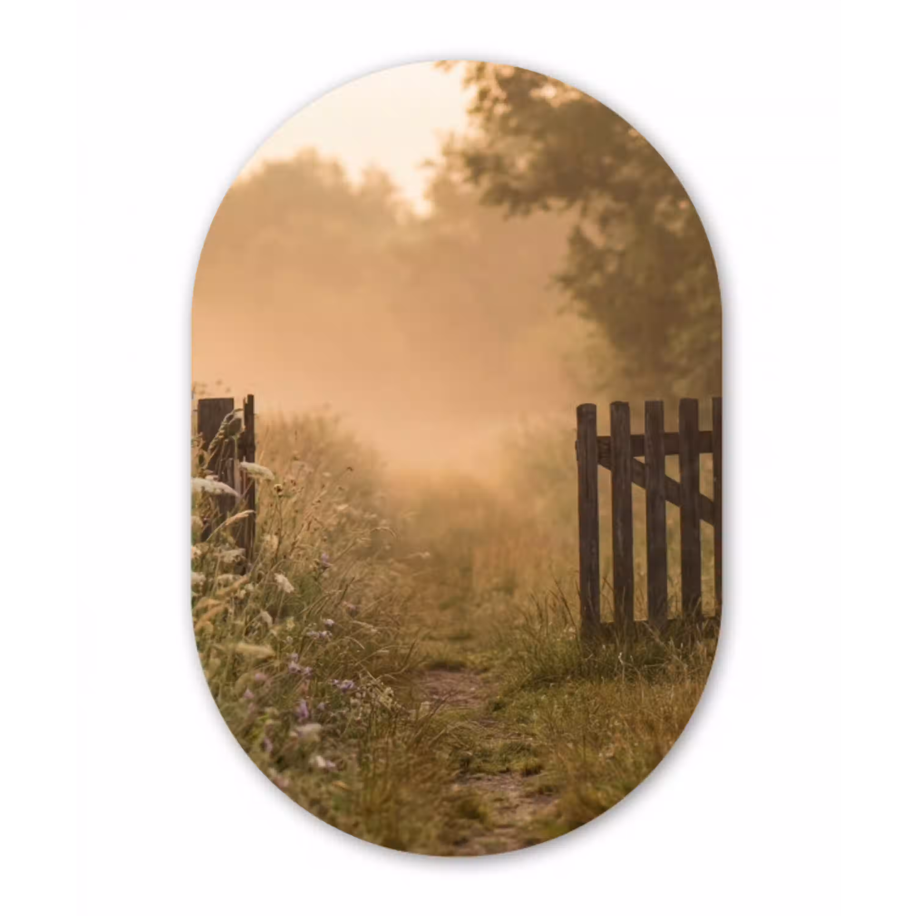 Hek - Natuur - Mist - Veld Wandcirkel Ovaal Aluminium middel -3d