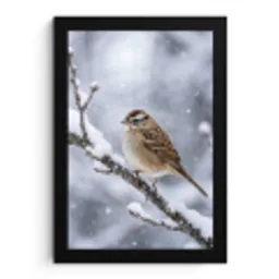 Vogel - Tak - Sneeuw - Winter fotolijst zwart zonder passe partout klein -3d