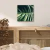 Bladeren - Tropisch - Jungle aluminium wit klein -sfeer3