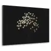 Gipskruid - Bloemetjes - Wit - Minimalistisch Textielframe zwart klein -3d