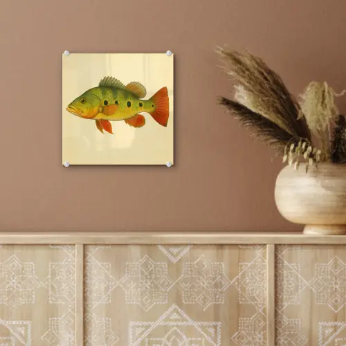 Schubben - Vis - Groen - Illustratie plexiglas 5mm klein -sfeer5