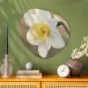 Narcis - Bloem - Minimalistisch Wandcirkel Organisch Aluminium middel -sfeer2