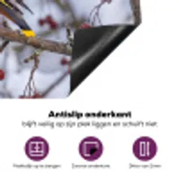 Pestvogel - Bessen - Winter - Natuur Inductie beschermer vinyl 3mm klein -zzzzzzz-cc-onderkant