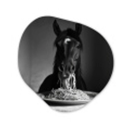 Paard - Bord - Pasta - Tafelkleed - Zwart Wit - Dieren Wandcirkel Organisch Plexiglas middel -3d