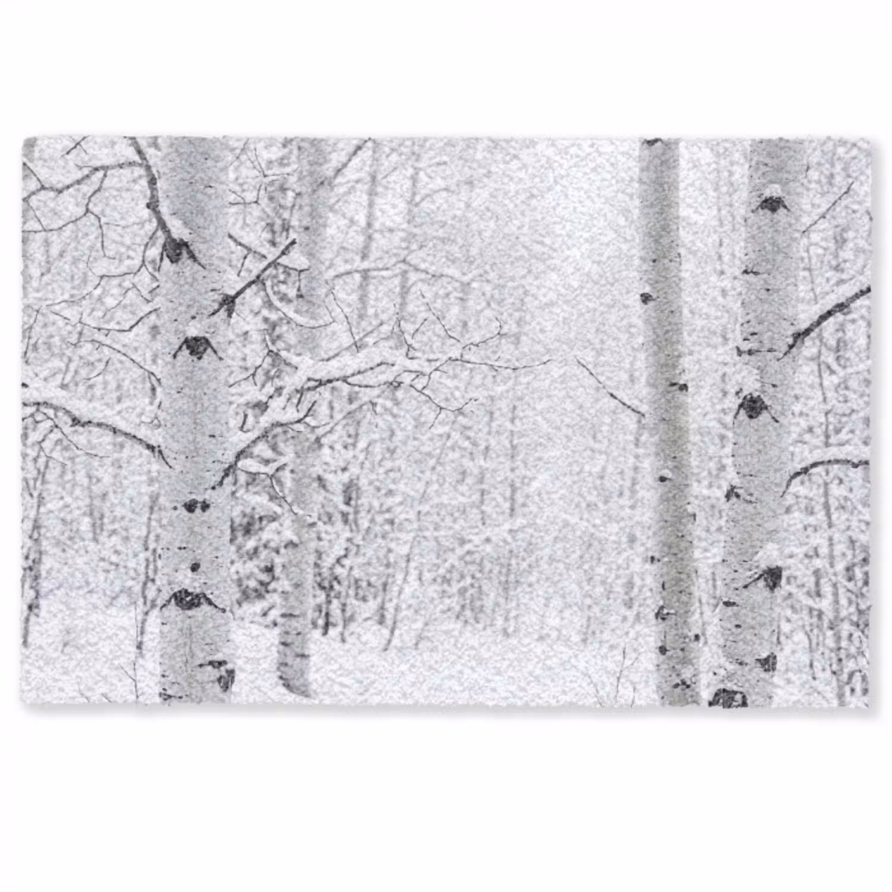 Berkenbomen - Sneeuw - Winter - Bos - Wit Deurmat klein -zkaufland3d