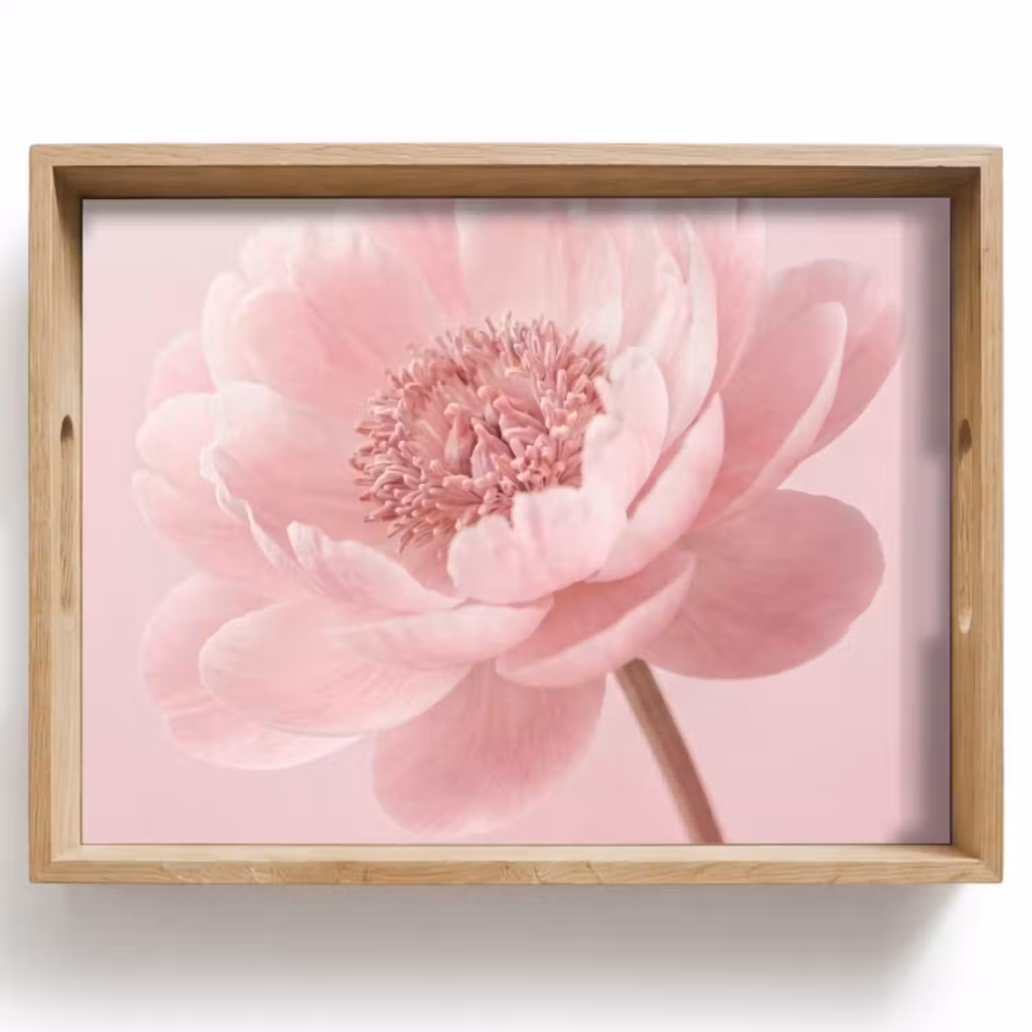 Dienblad - Bloem - Pioenroos - Roze