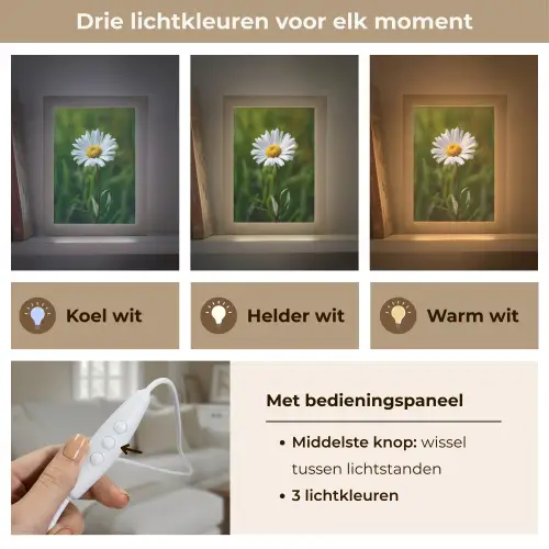 Wit - Madeliefje - Bloem - Gras Light Box met kabel (Tafellamp) klein -USP_lichtkleurNL