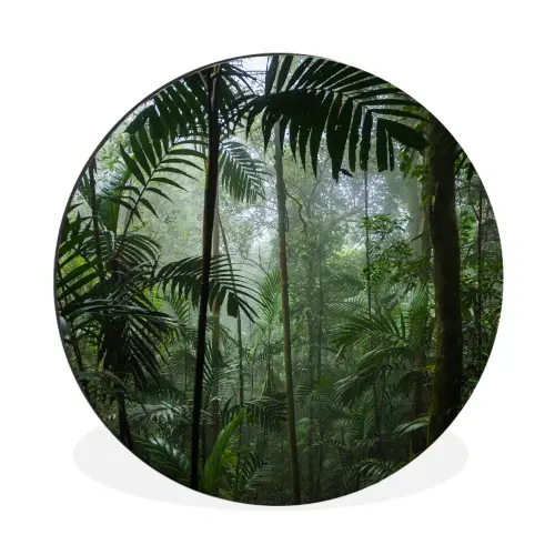 Regenwoud - Tropisch - Jungle - Bomen - Planten Wandcirkel aluminium klein -3d