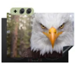 Amerikaans - Zeearend - Portret - Geel Inductie beschemer met haakjes klein -3d