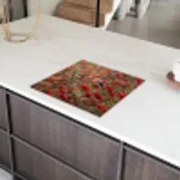 Goudvink - Bessen - Herfst - Natuur - Kleurrijk Inductie beschermer vinyl 3mm middel -sfeer8