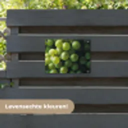 Druiven - Tros - Groen tuinposter los doek klein -sfeer3