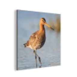 Vogel - Steltloper - Water - Natuur aluminium wit klein -3d