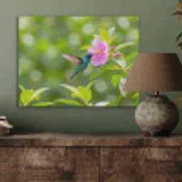 Kolibrie - Bloem - Natuur - Groen PET vilt klein -sfeer2
