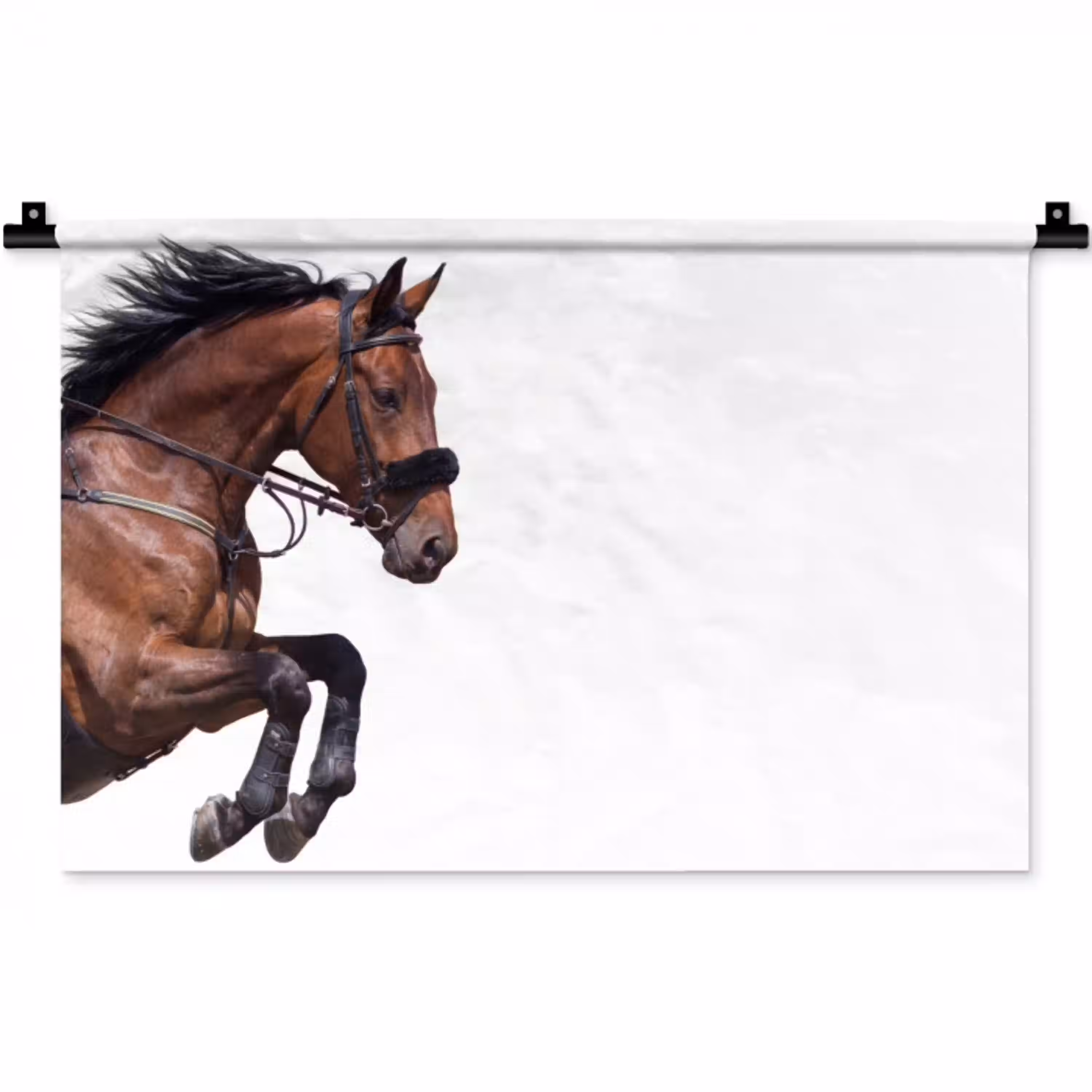 Paard - Springen - Modern Wandkleed katoen klein -zz3d