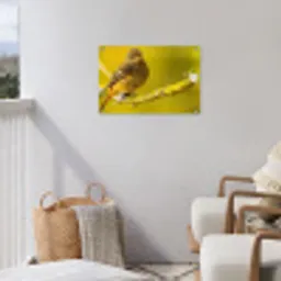 Dieren - Vogel - Tak tuinposter los doek klein -sfeer8