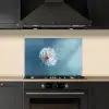 Paardenbloem - Wind - Blauw keuken achterwand spatscherm klein -sfeer1