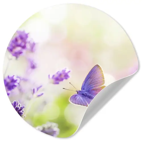 Lavendel - Vlinder - Bloemen Wandcirkel behangsticker klein -3d