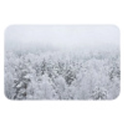 Bos - Sneeuw - Winter - Natuur - Wit Badmat klein -3d