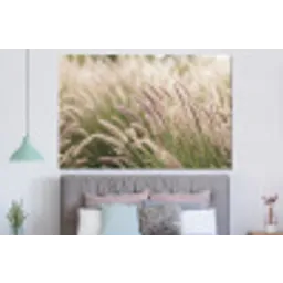 Gras - Close up - Groen forex 5mm xxl -slaapkamer