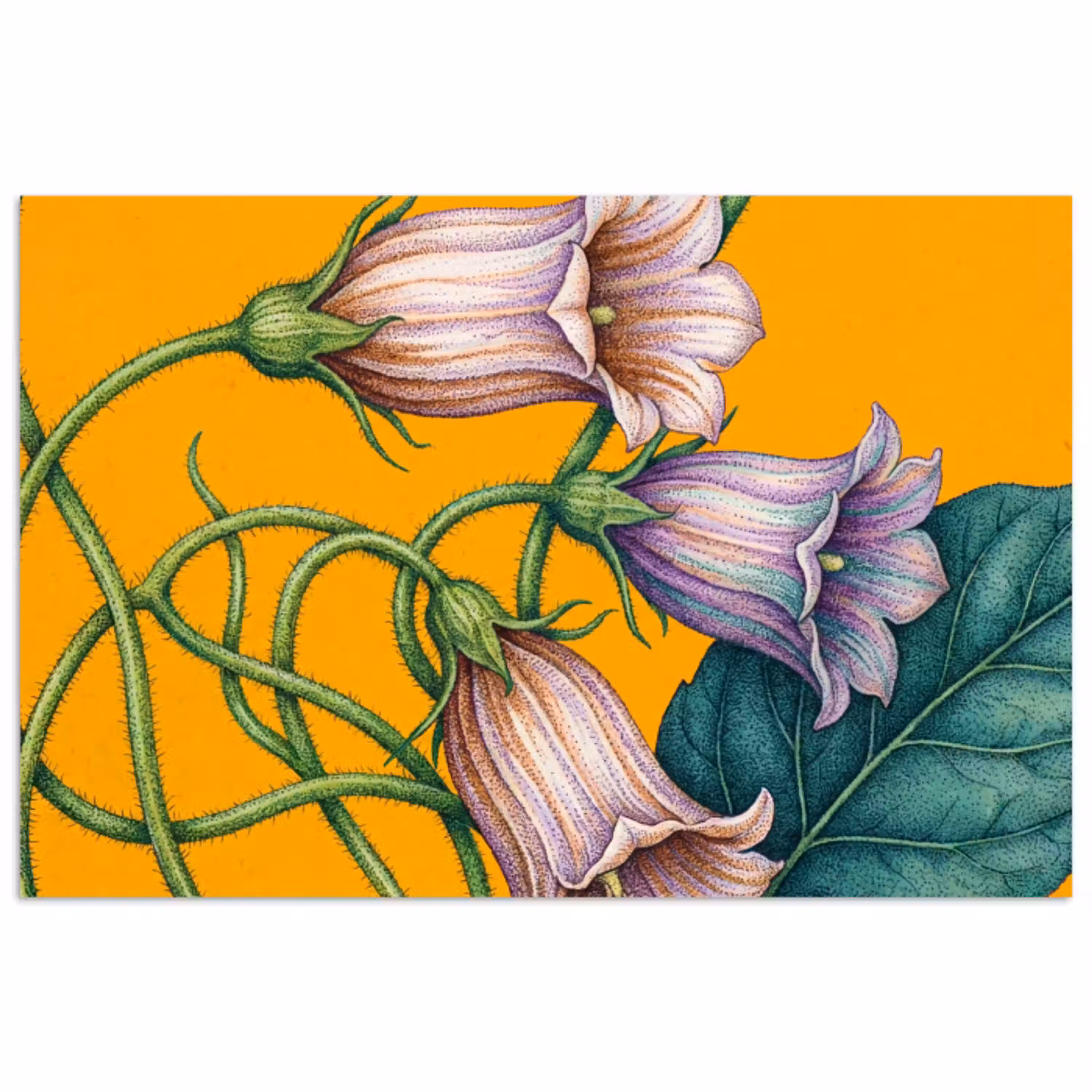 Bloemen - Botanisch - Geel poster papier klein -3d