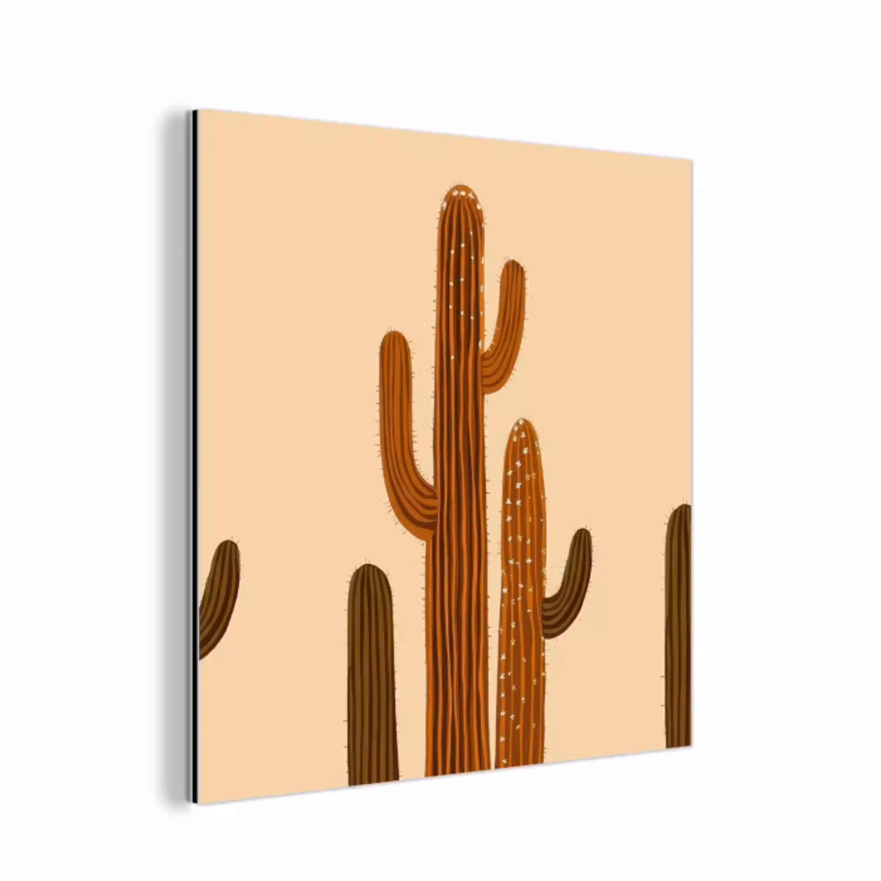 Cactus - Woestijn - Zand - Bruin aluminium wit klein -3d